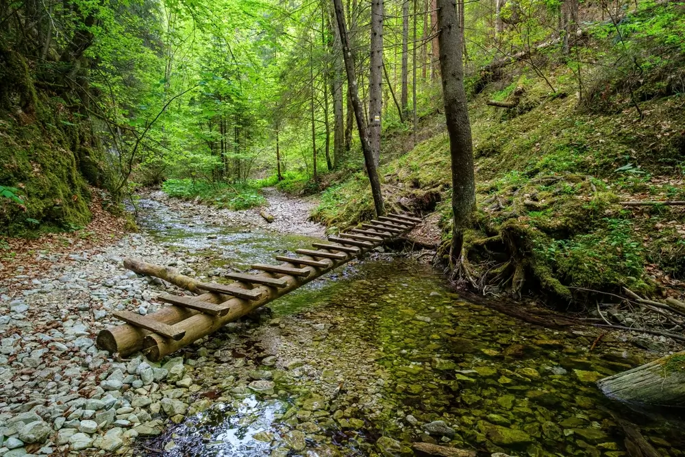 shutterstock_2407359429 - SportDeník Suchá Bela, Slovenský ráj