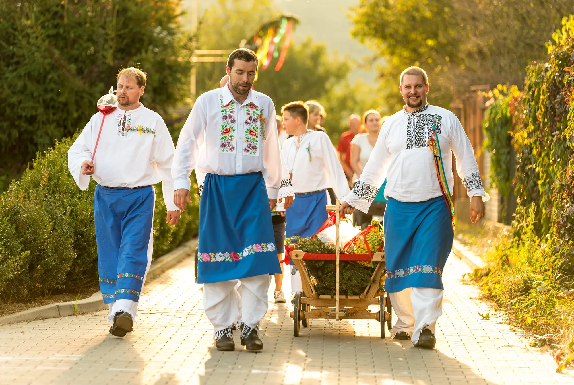 Muži v krojích