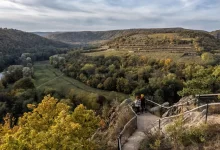vinice Šobes