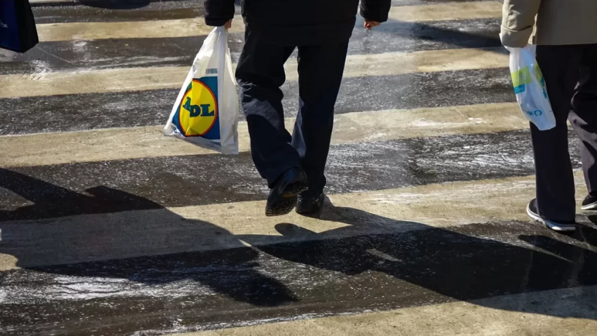 Lidl taška