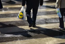 Lidl taška