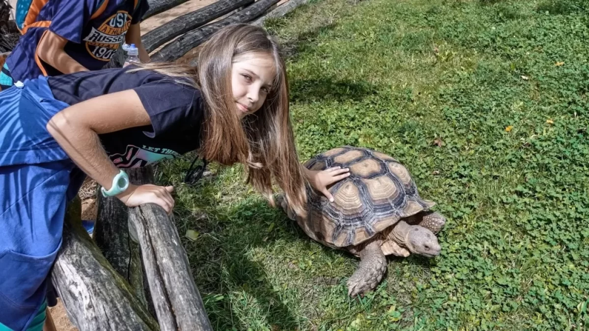 Holčička v ZOO