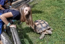 Holčička v ZOO