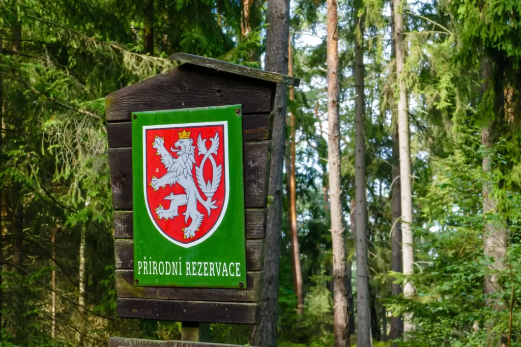 Shutterstock_2209040527 - SportDeník Objevte Máchův kraj.