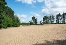 Písčitá plocha obklopená stromy