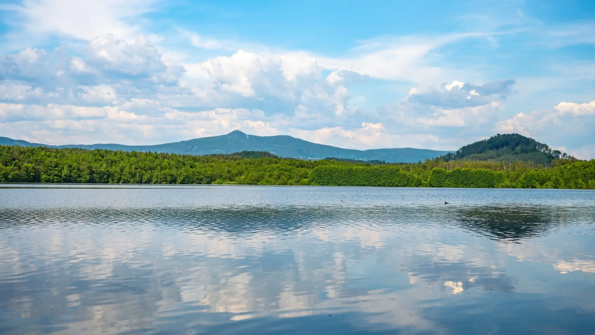 Hamerské jezero s výhledem na Ještěd