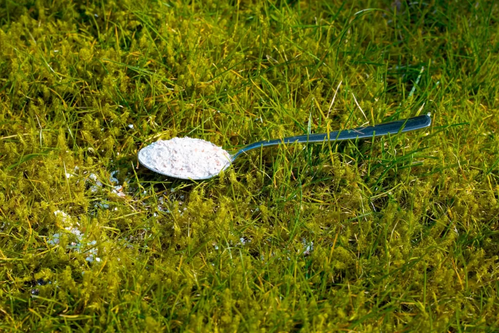 Shutterstock_2436270329 - SportDeník Vápno na lžíci položené na trávě
