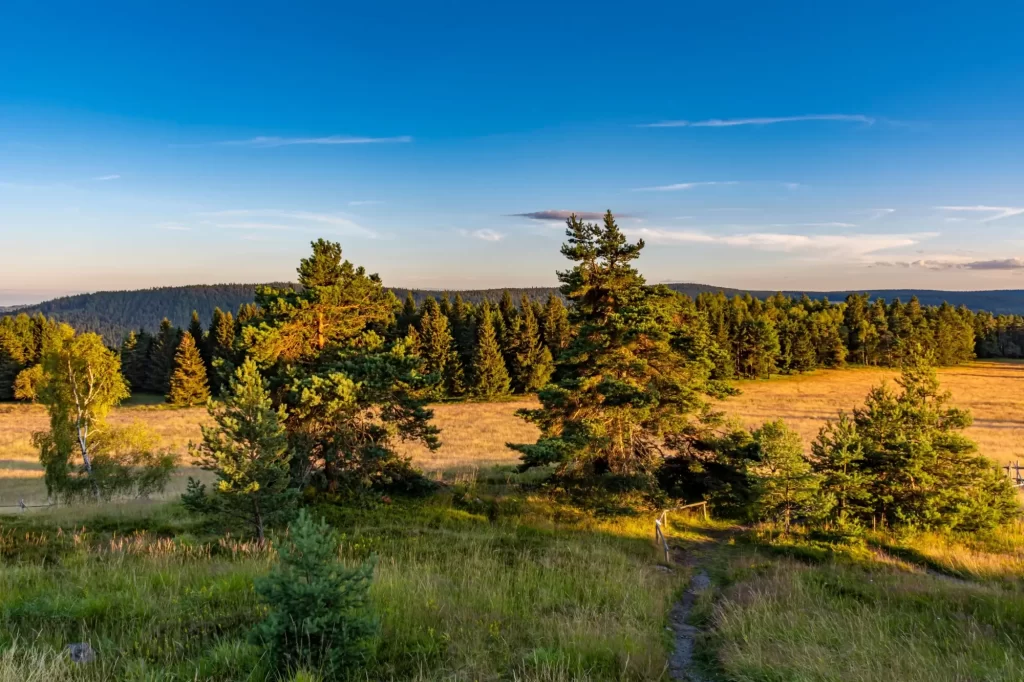 Slavkovský les je skutečně magickým místem, FOTO: Shutterstock - SportDeník slavkovský les