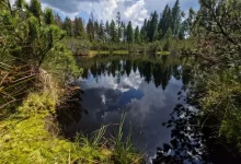 Šumava, příroda