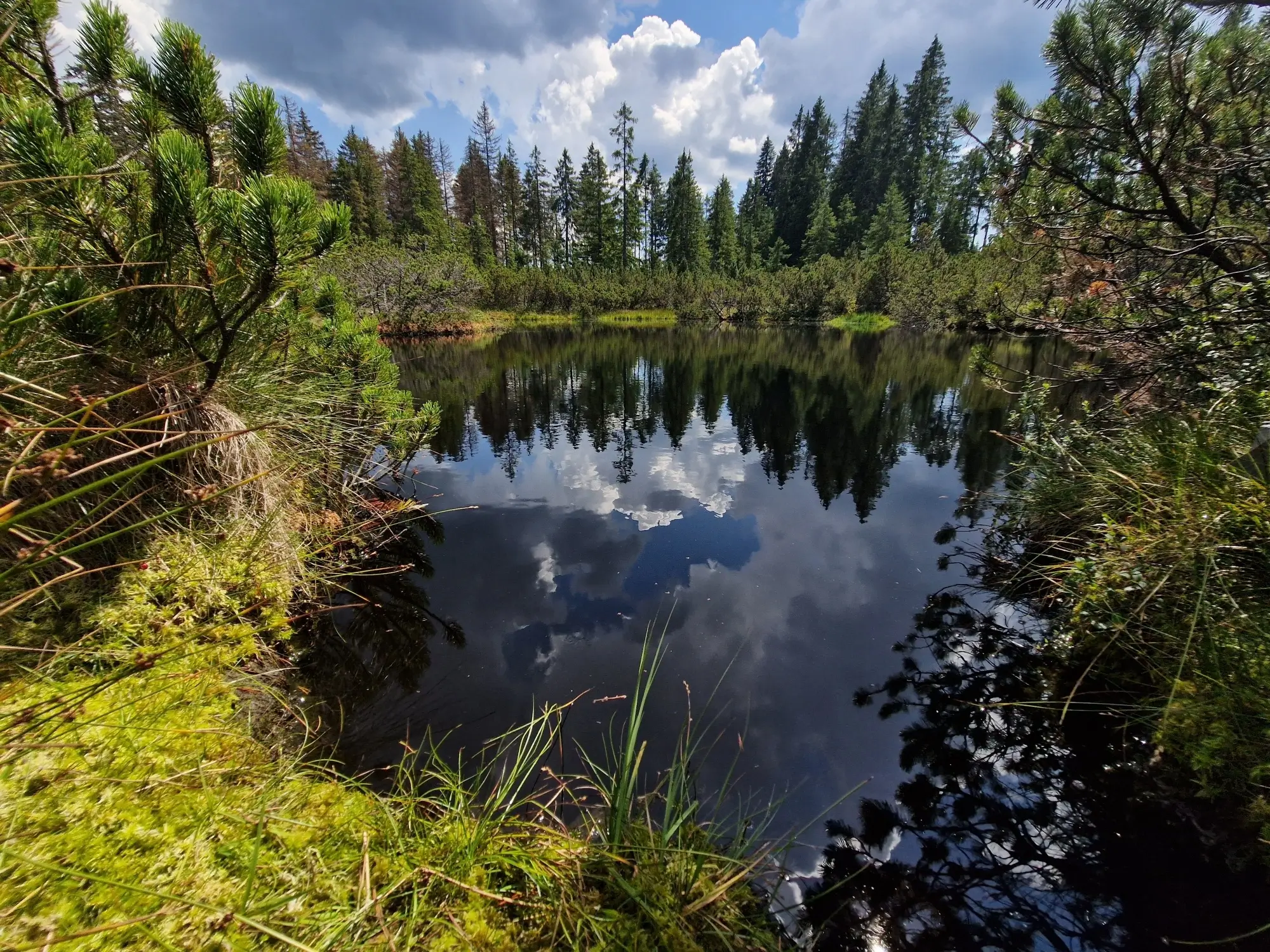 Šumava, příroda