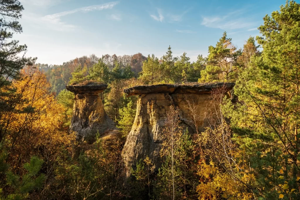 Shutterstock_2564515395 - SportDeník Pokličky pískovcová tvorba na Kokořínsku.