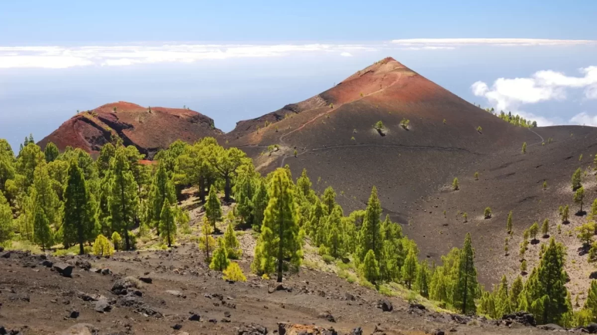 la palma
