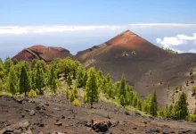 la palma