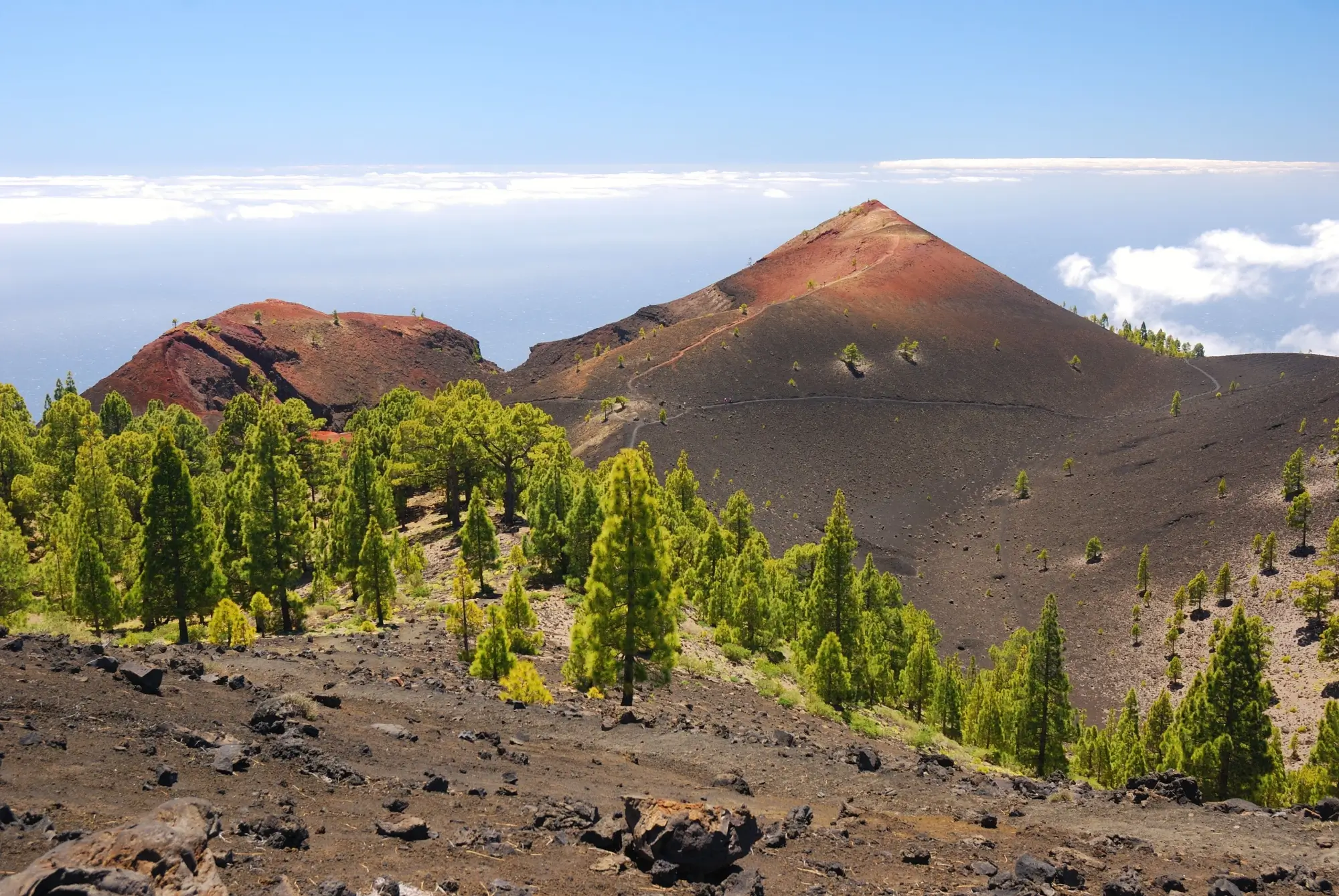 la palma