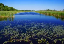 Moravská Amazonie