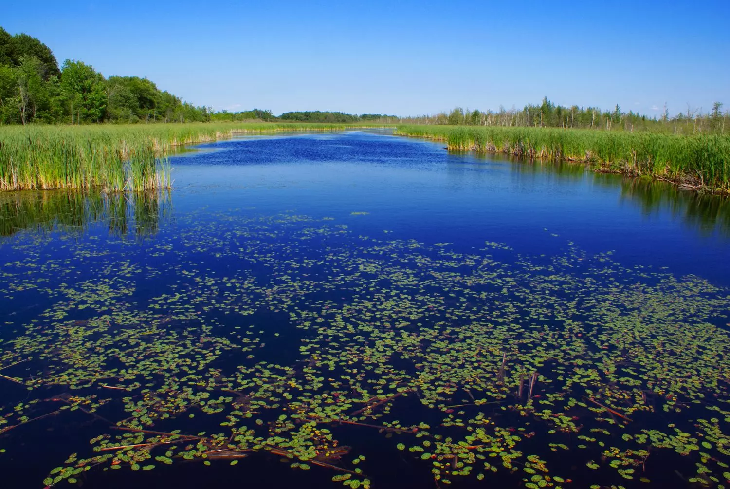 Moravská Amazonie