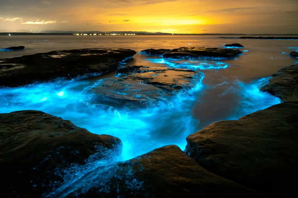 download 73 - SportDeník bioluminiscence v Jervis Bay
