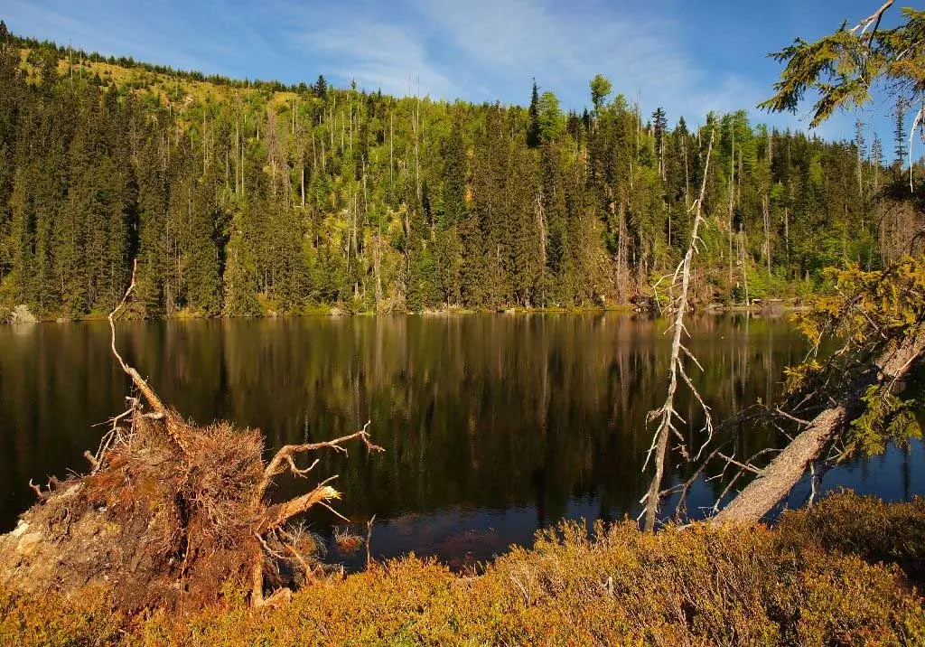 Prášilské jezero