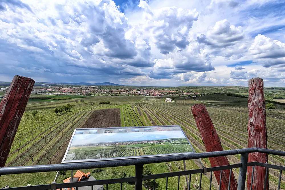 Za dobré viditelnosti je prý možné dohlédnout až na vrcholky Alp. - SportDeník rozhledna Slunečná
