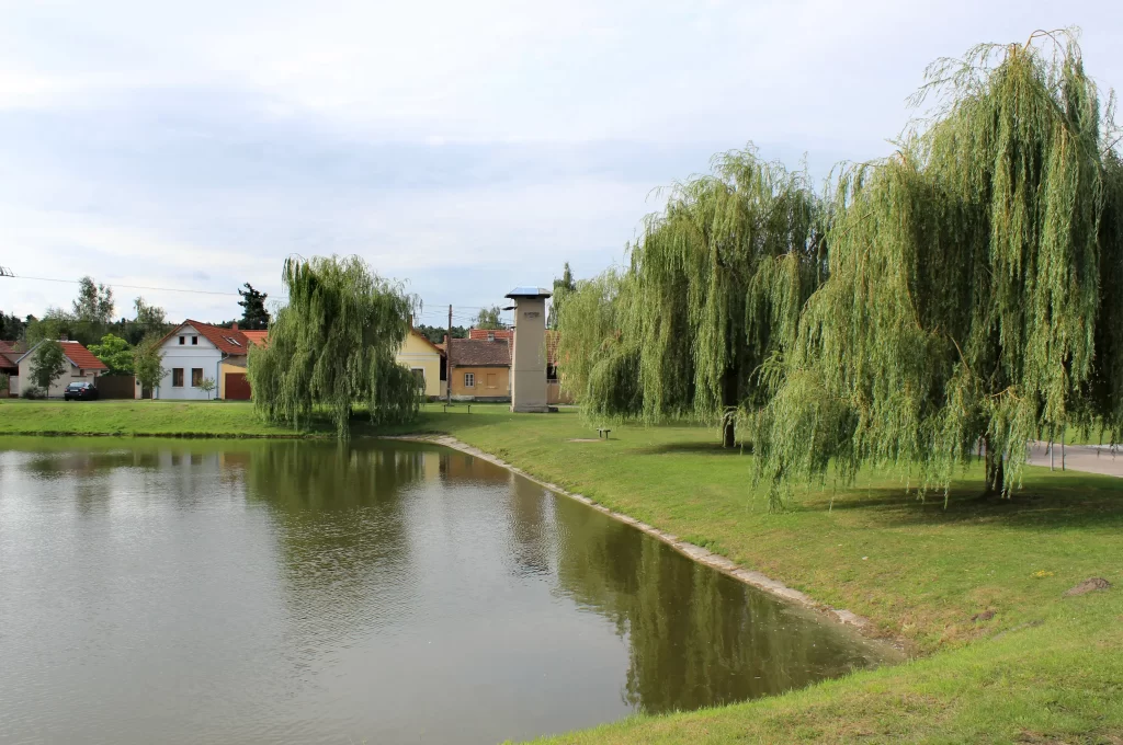 Kostelní_Lhota_pond - SportDeník Pohled na rybníček a zeleň s vrbami