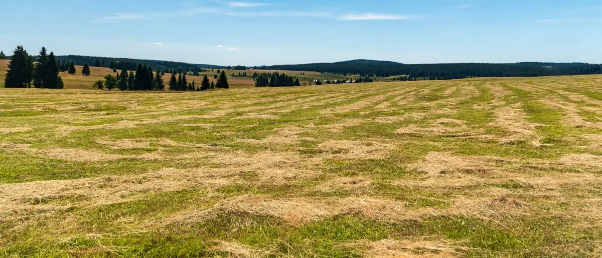 Rozlehlá planina v Krušných horách poblíž vesničky Přebuz 