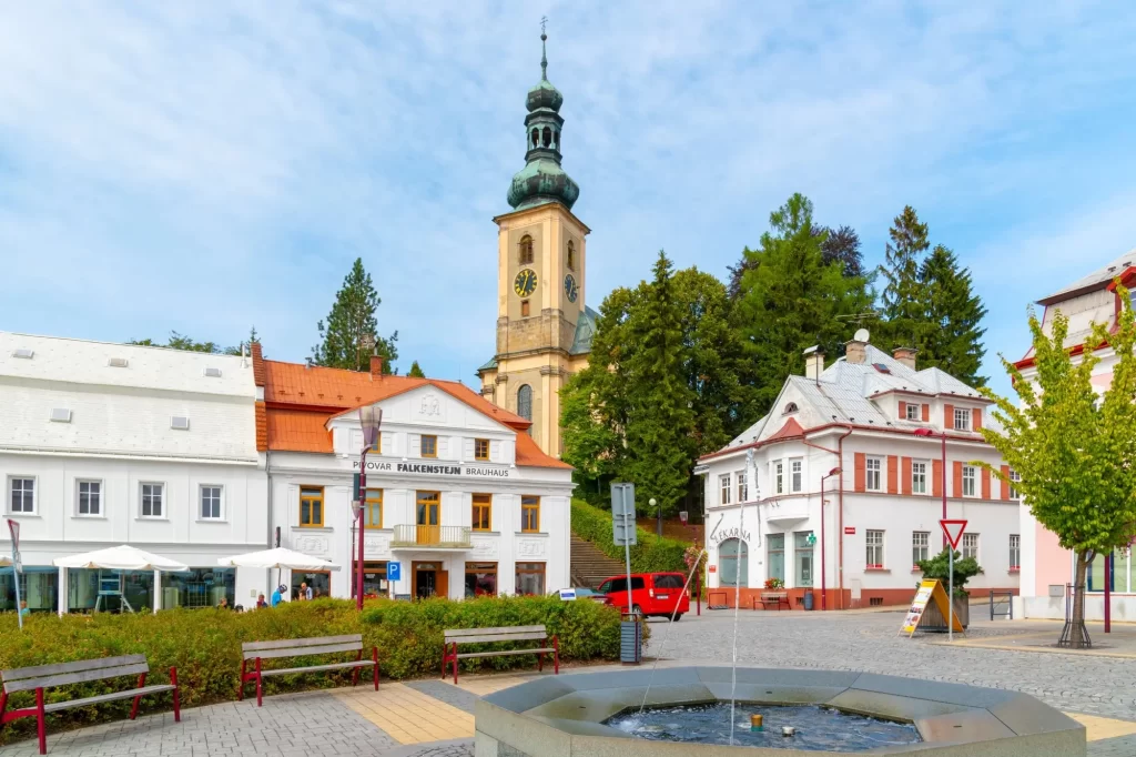 Shutterstock_1204283857 1 - SportDeník Město Krásná Lípa.