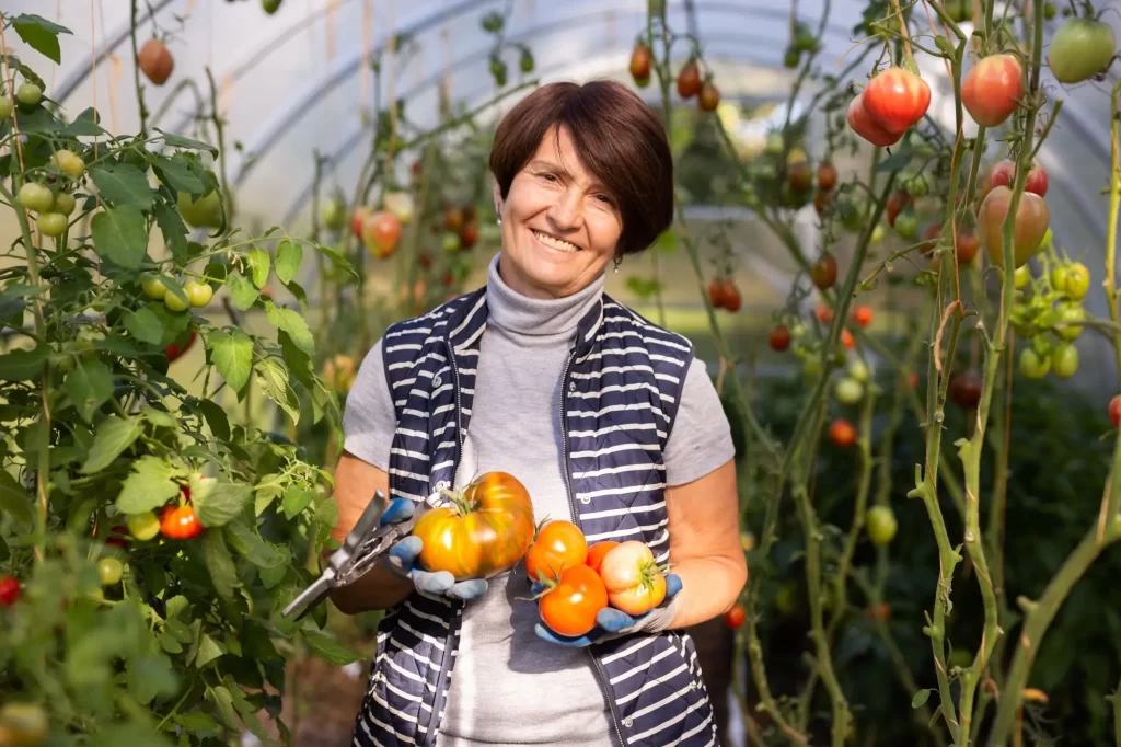 Shutterstock_2265970913 - SportDeník Nejlepší je vypěstovat si je nebo koupit od místních farmářů.