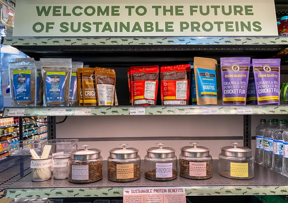 Protein budoucnosti. - SportDeník Proteinové jídlo.