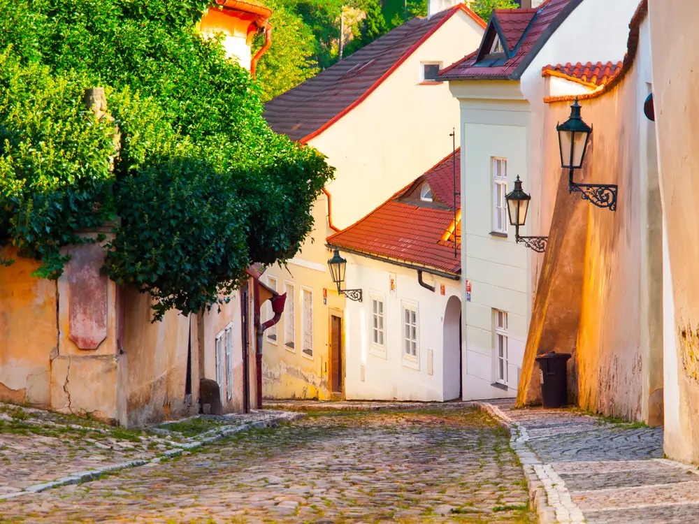 shutterstock_698481073 - SportDeník Nový svět