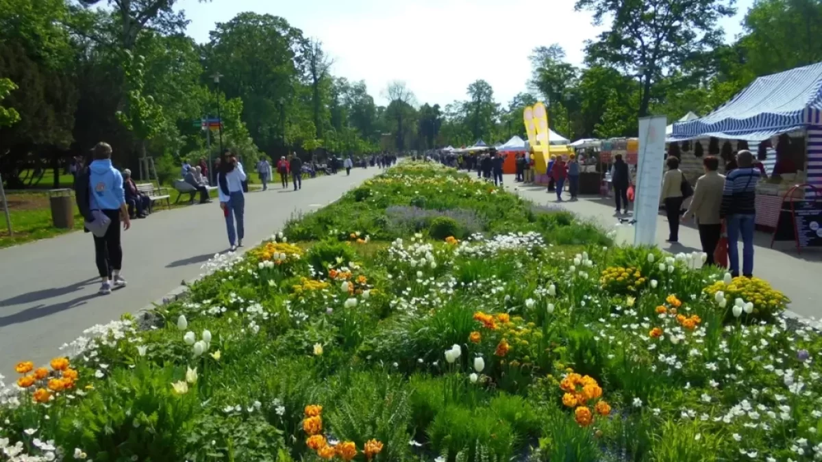 Pohled do Smetanových sadů v Olomouci, kde se koná tradiční výstava Flora Olomouc