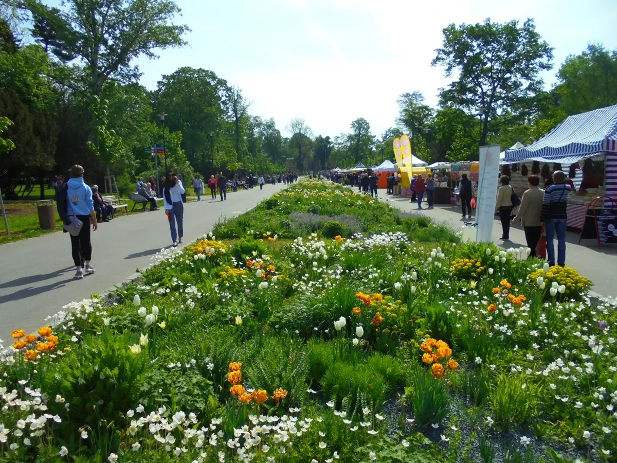 Pohled do Smetanových sadů v Olomouci, kde se koná tradiční výstava Flora Olomouc