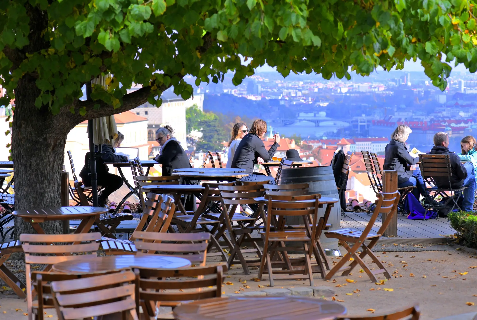 Restaurace