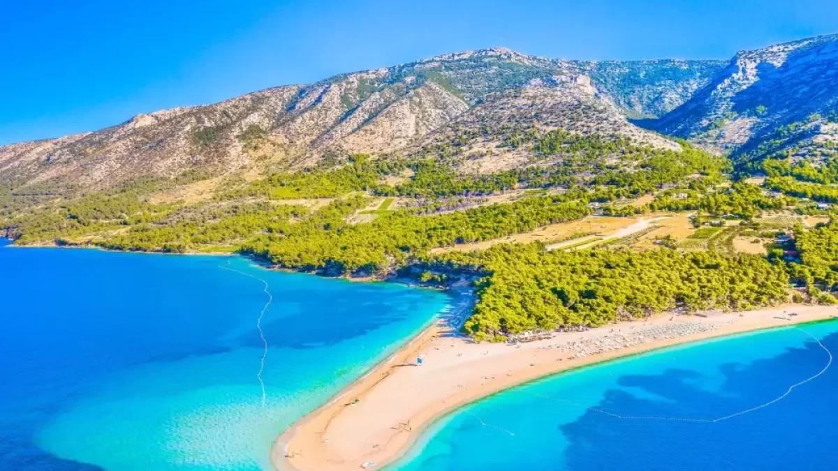 Brač