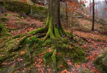 les strom