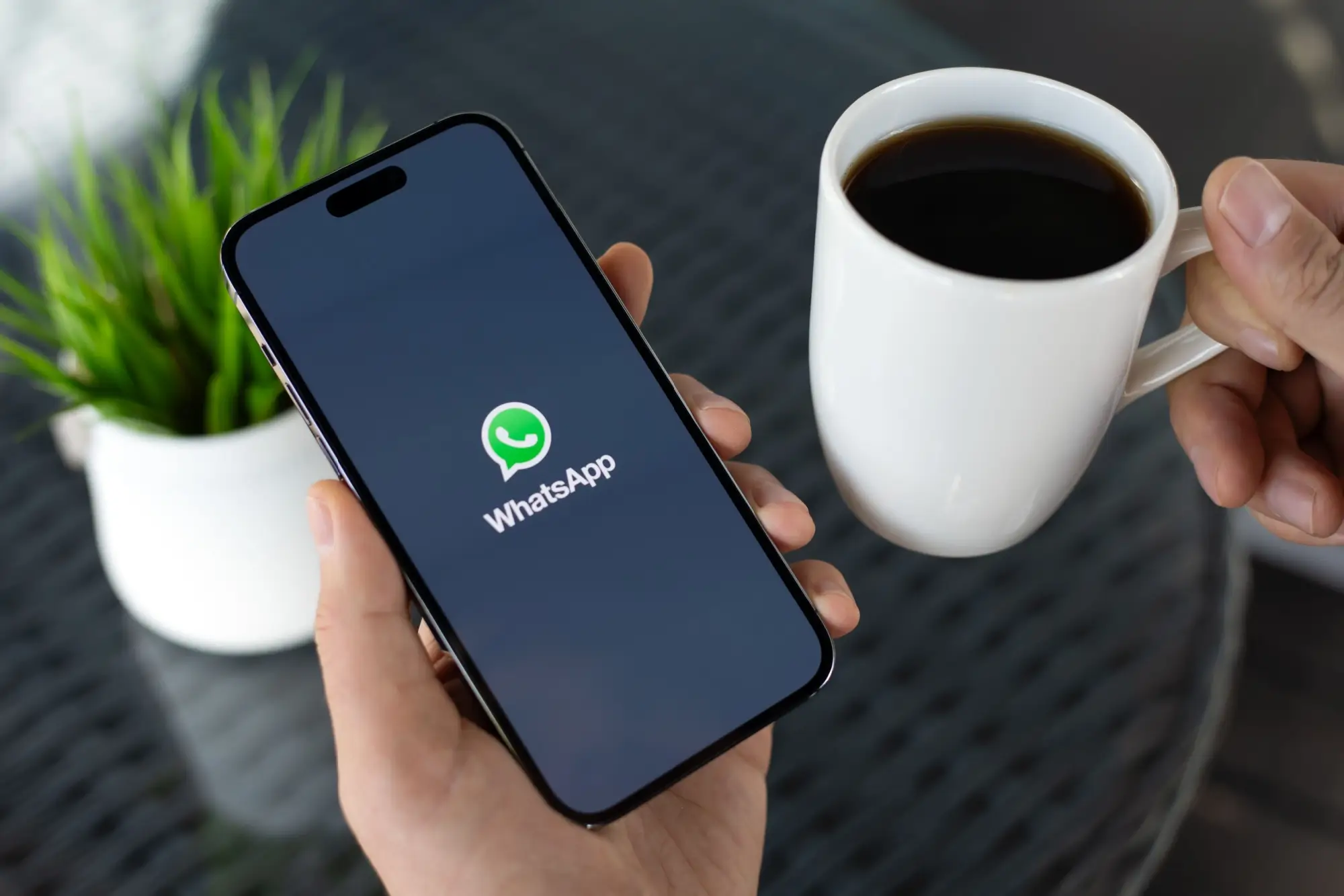 WhatsApp komunikátor