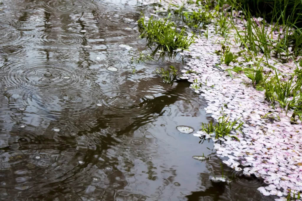 Shutterstock_402095854 - SportDeník Podle meteorologů je tento ráz počasí běžný.