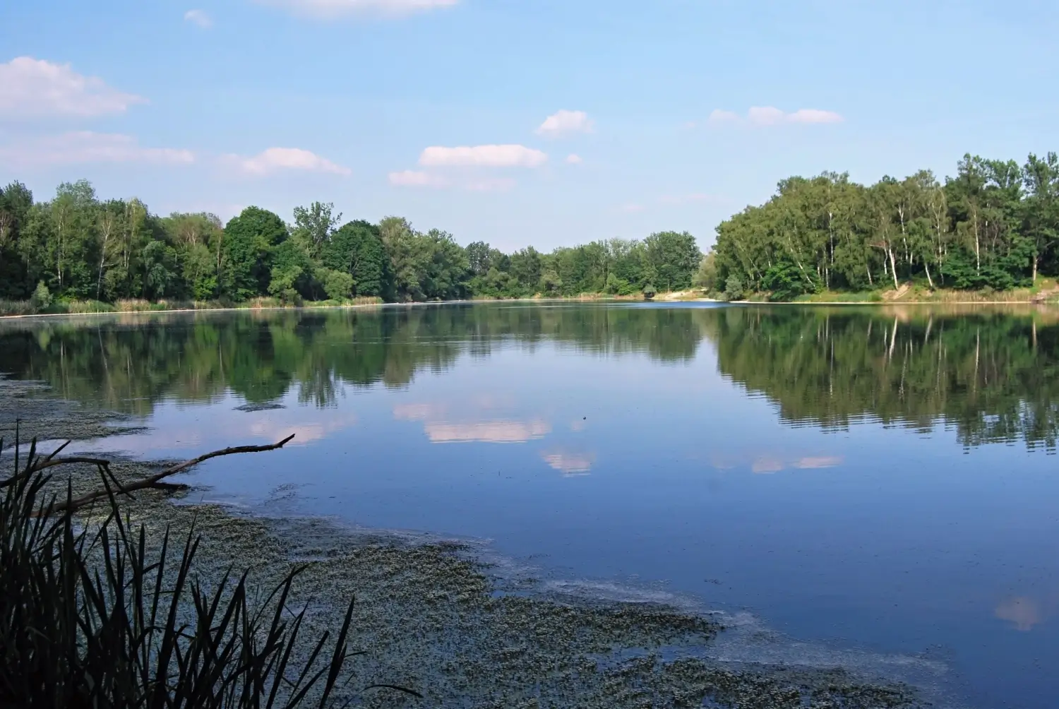 Kališovo jezero