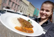 Číšnice se znojemskou roštěnou omáčkou