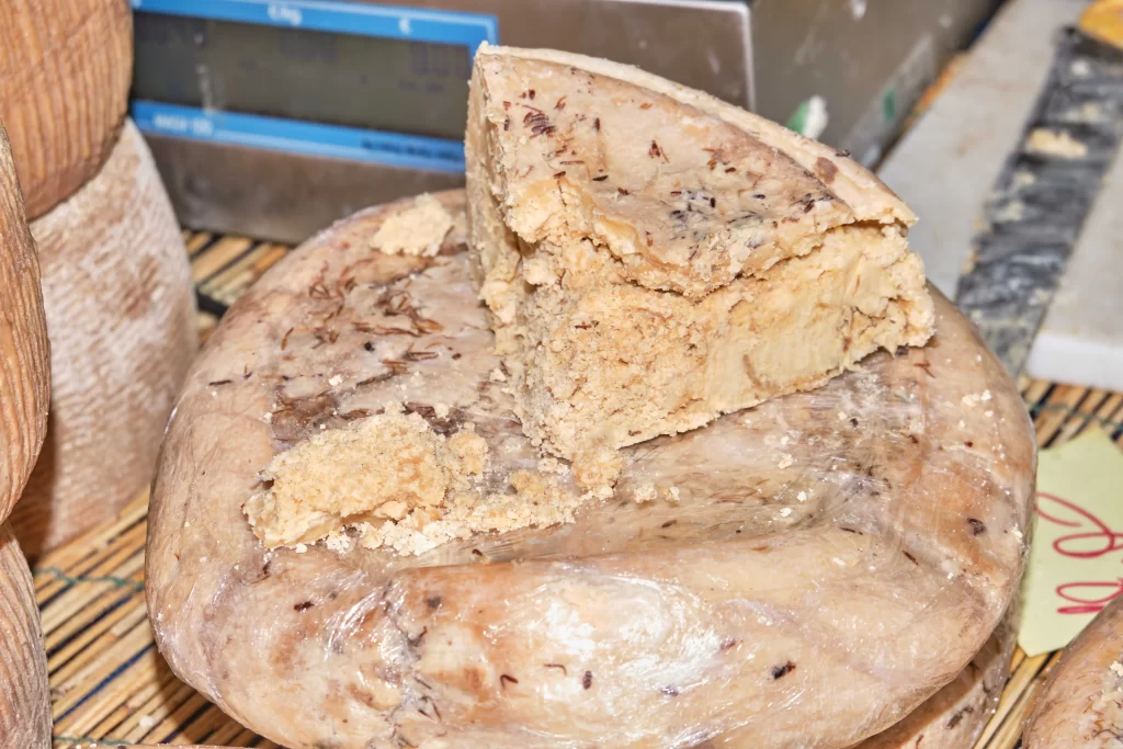 shutterstock_1547856920_optimized - SportDeník sýr Casu Marzu