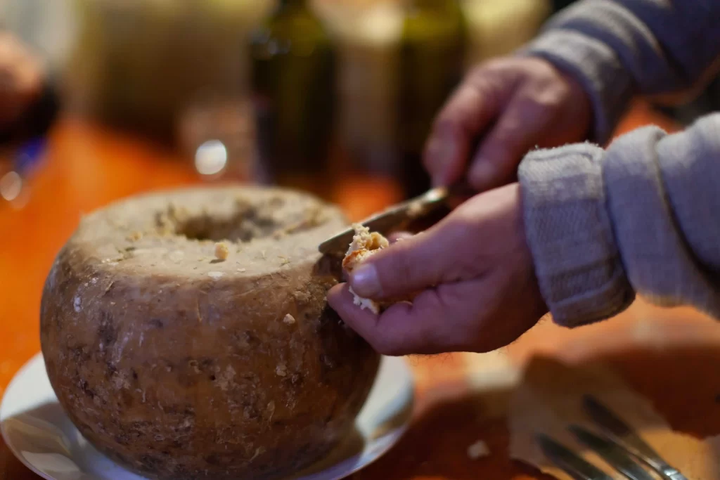 shutterstock_2161840089_optimized - SportDeník sýr Casu Marzu