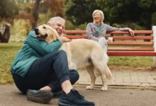 Pár seniorů si užívá na lavičce v parku svého čtyřnohého psího miláčka