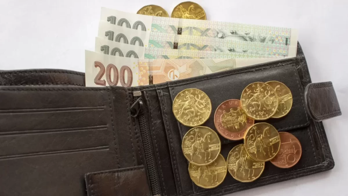 Otevřená peněženka s českými bankovkami a mincemi.