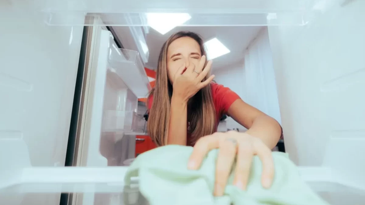 Páchnoucí lednice