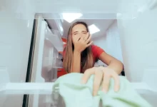 Páchnoucí lednice