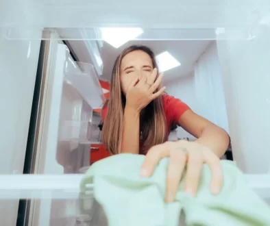 Páchnoucí lednice