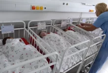Novorozenci v porodnici