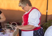 žena v kroji
