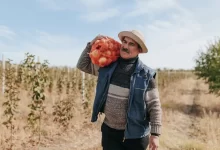 kvalifikovaní pracovníci