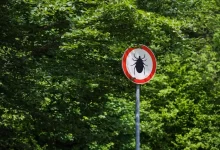 Stop klíšťatům.