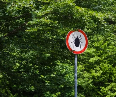 Stop klíšťatům.